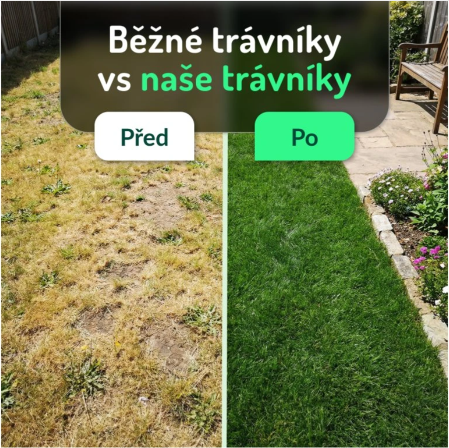 Rasana Sport- Trávní osivo-rozdíl